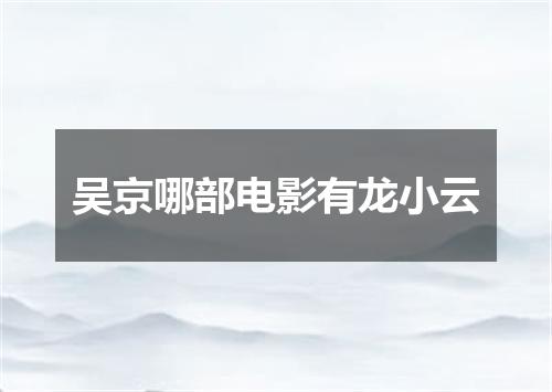 吴京哪部电影有龙小云