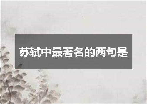 苏轼中最著名的两句是