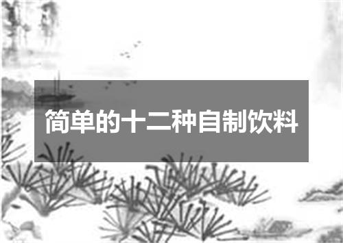 简单的十二种自制饮料