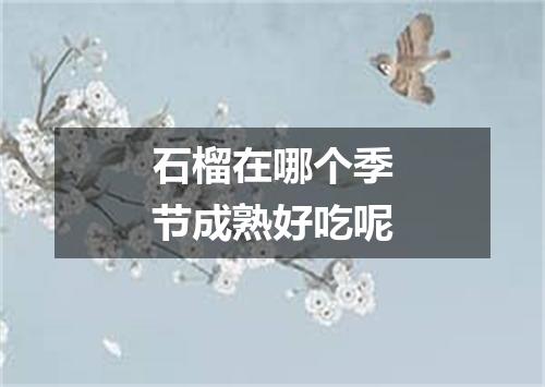 石榴在哪个季节成熟好吃呢