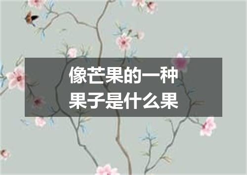 像芒果的一种果子是什么果