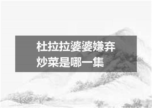 杜拉拉婆婆嫌弃炒菜是哪一集