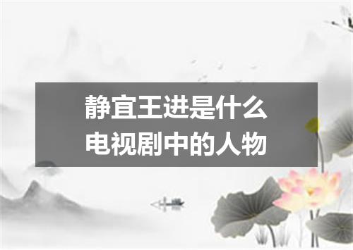 静宜王进是什么电视剧中的人物