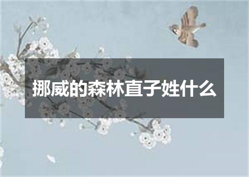 挪威的森林直子姓什么