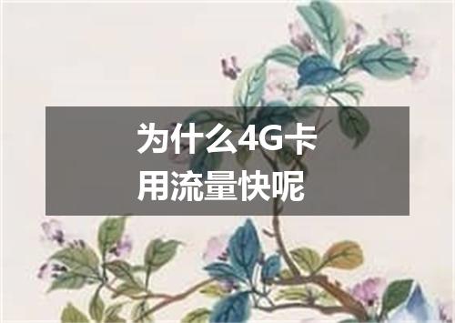 为什么4G卡用流量快呢