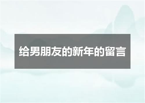 给男朋友的新年的留言
