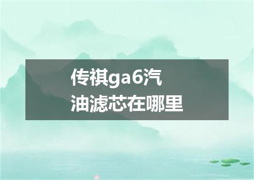 传祺ga6汽油滤芯在哪里