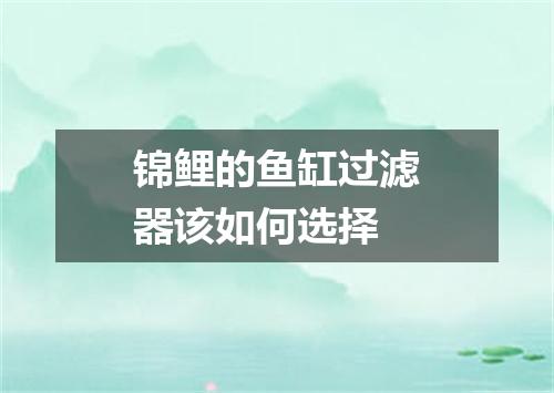 锦鲤的鱼缸过滤器该如何选择