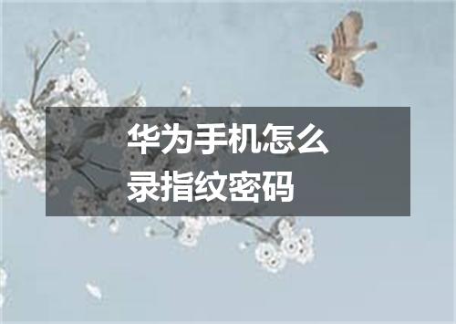 华为手机怎么录指纹密码