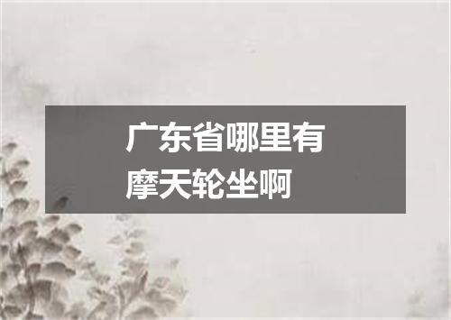 广东省哪里有摩天轮坐啊