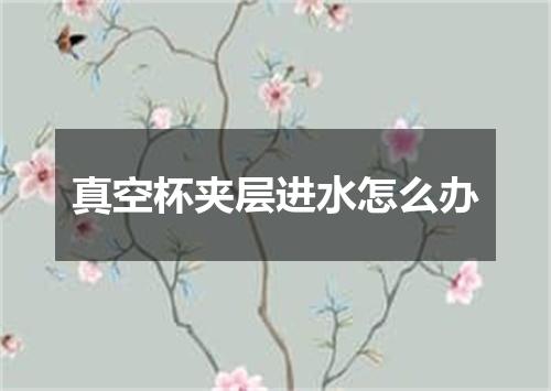 真空杯夹层进水怎么办