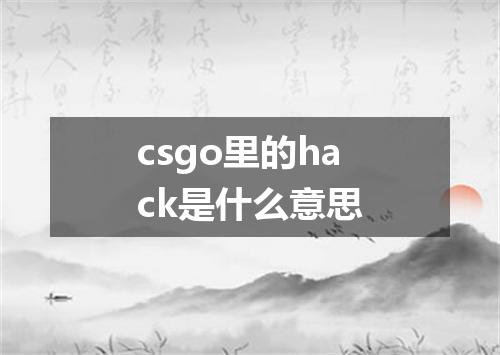 csgo里的hack是什么意思