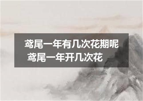 鸢尾一年有几次花期呢 鸢尾一年开几次花