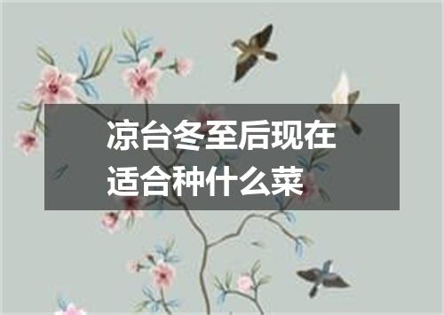 凉台冬至后现在适合种什么菜