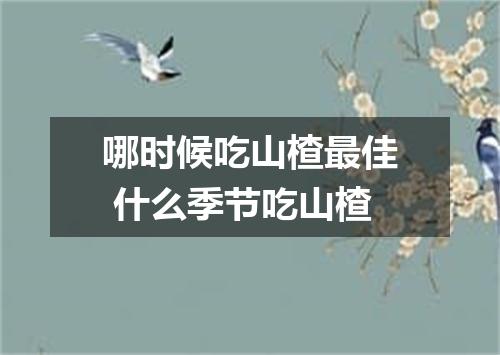 哪时候吃山楂最佳 什么季节吃山楂