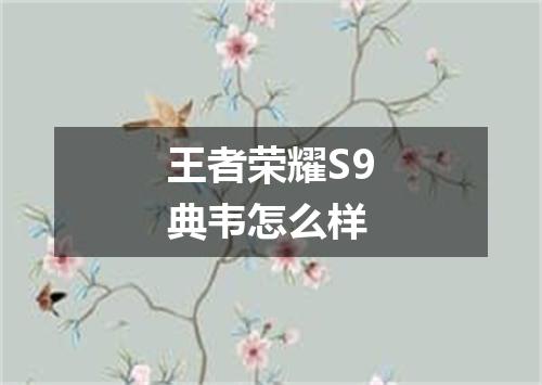 王者荣耀S9典韦怎么样