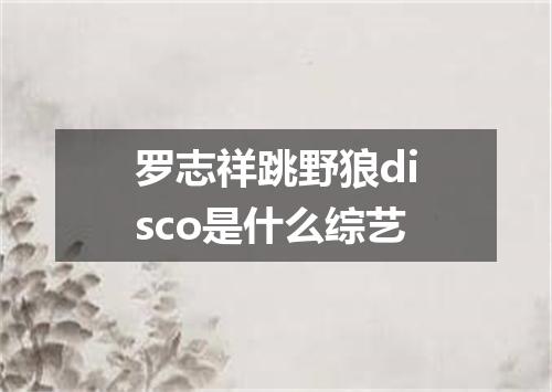 罗志祥跳野狼disco是什么综艺