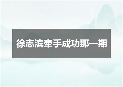 徐志滨牵手成功那一期