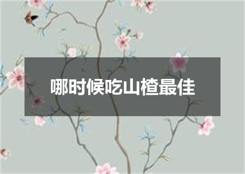 哪时候吃山楂最佳