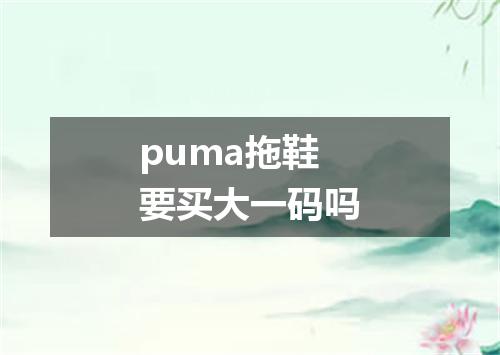 puma拖鞋要买大一码吗