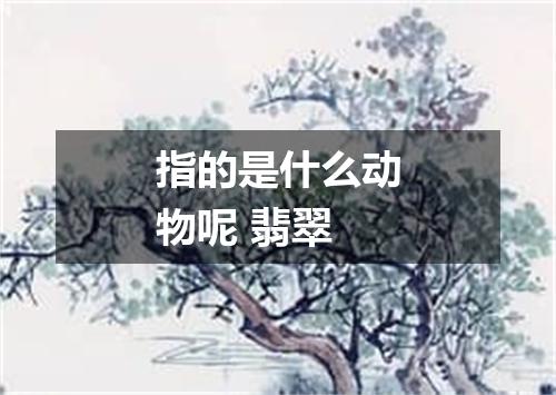 指的是什么动物呢 翡翠