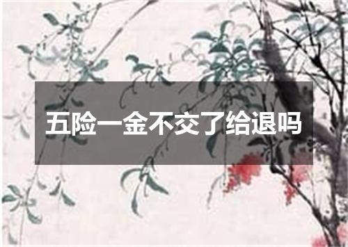 五险一金不交了给退吗