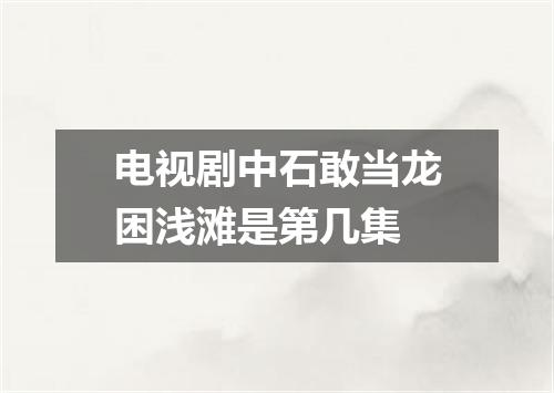 电视剧中石敢当龙困浅滩是第几集