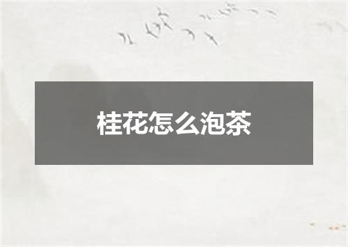 桂花怎么泡茶
