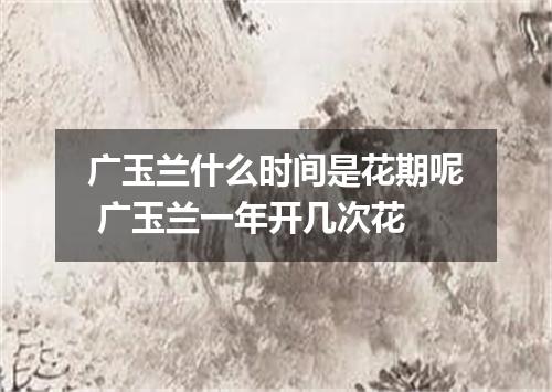 广玉兰什么时间是花期呢 广玉兰一年开几次花