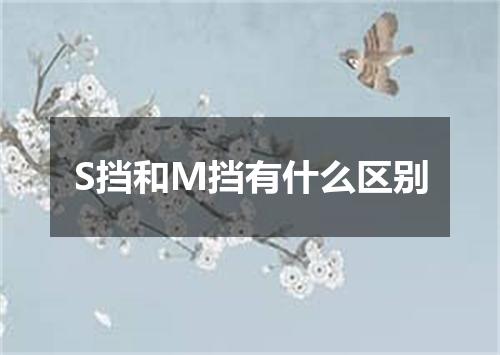 S挡和M挡有什么区别