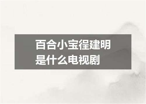 百合小宝徎建明是什么电视剧