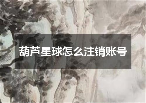 葫芦星球怎么注销账号