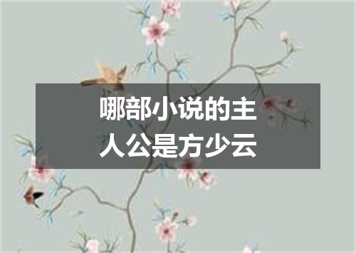 哪部小说的主人公是方少云