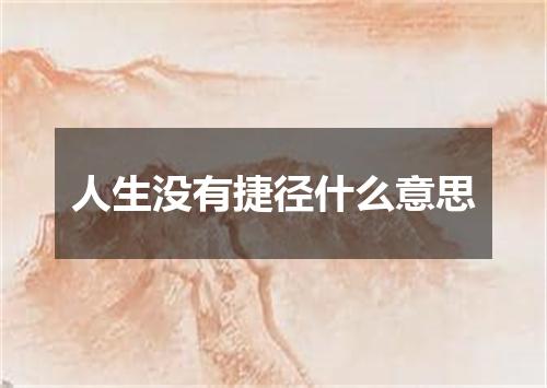 人生没有捷径什么意思