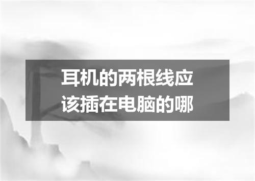 耳机的两根线应该插在电脑的哪