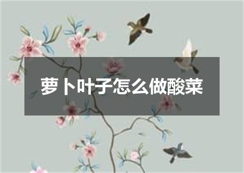 萝卜叶子怎么做酸菜