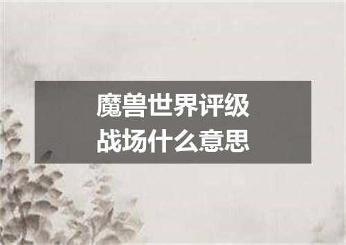 魔兽世界评级战场什么意思