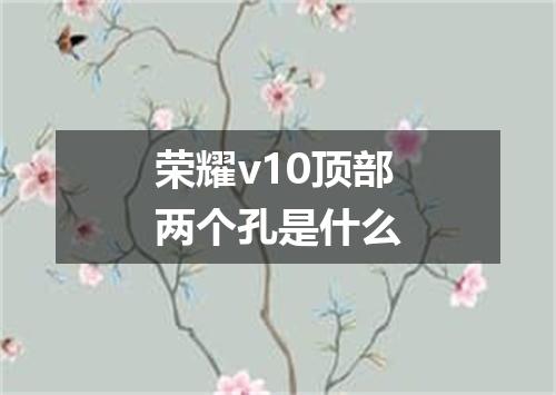 荣耀v10顶部两个孔是什么