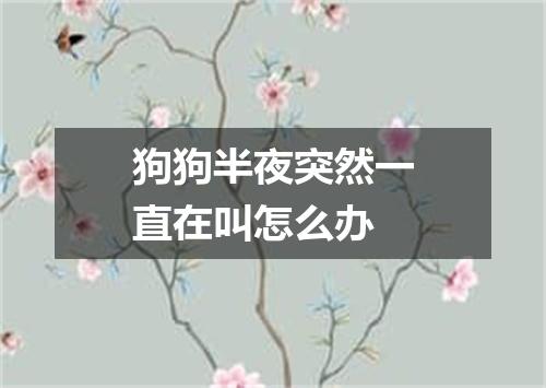 狗狗半夜突然一直在叫怎么办
