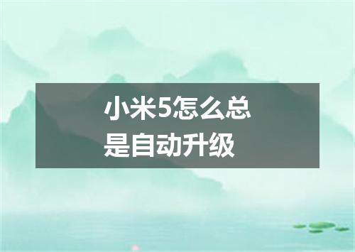 小米5怎么总是自动升级