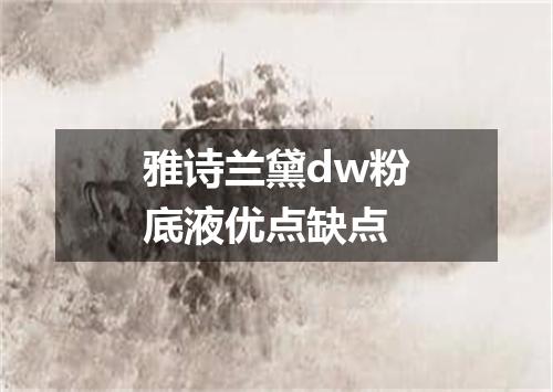 雅诗兰黛dw粉底液优点缺点