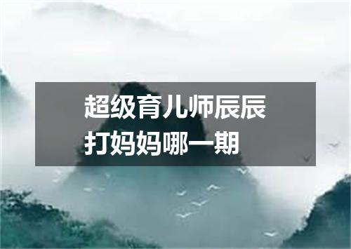 超级育儿师辰辰打妈妈哪一期