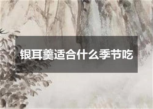 银耳羹适合什么季节吃