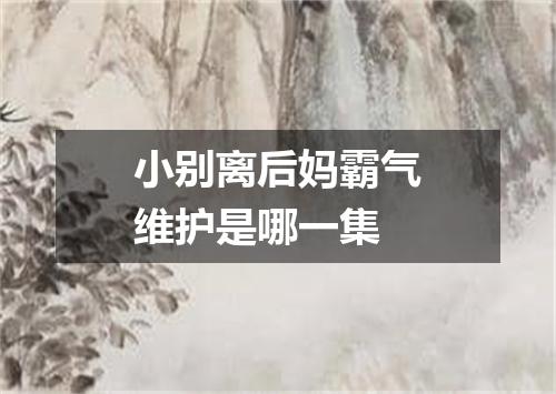 小别离后妈霸气维护是哪一集