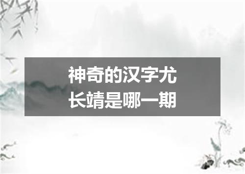 神奇的汉字尤长靖是哪一期