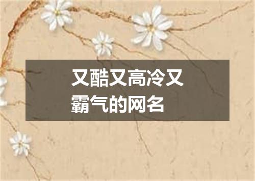 又酷又高冷又霸气的网名