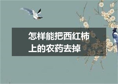 怎样能把西红柿上的农药去掉