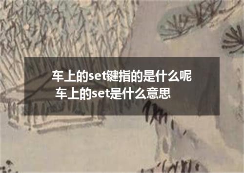 车上的set键指的是什么呢 车上的set是什么意思