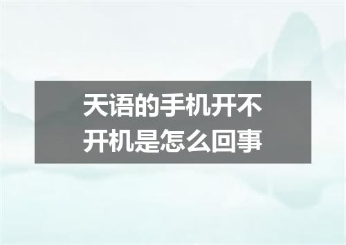 天语的手机开不开机是怎么回事