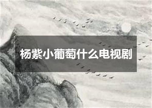 杨紫小葡萄什么电视剧